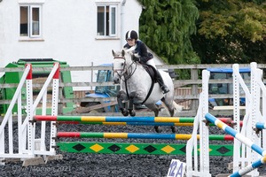 Class 7 - Fences 3' to 3'3